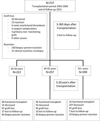 Causes of Kidney Graft Failure in a Cohort of Recipients With a Very Long-Time Follow-Up After Transplantation